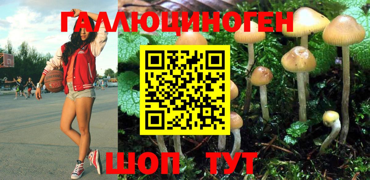 Галлюциногенные грибы Psilocybine cubensis  Вход с VPN  Азов 