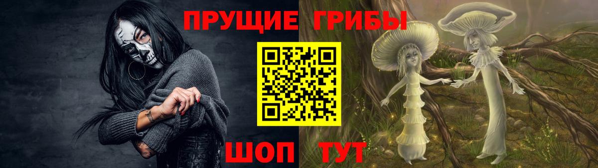 Галлюциногенные грибы Cubensis Азов